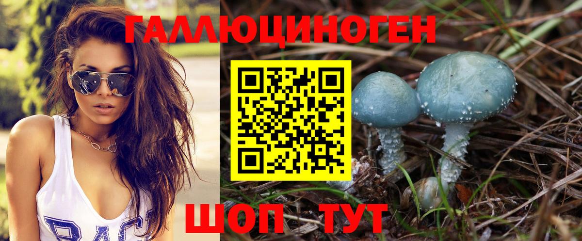 Галлюциногенные грибы ЛСД Добрянка