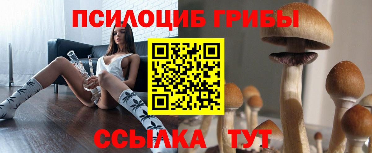 Псилоцибиновые грибы мухоморы  Вход с VPN  закладки  Добрянка  Галлюциногенные грибы MAGIC MUSHROOMS 